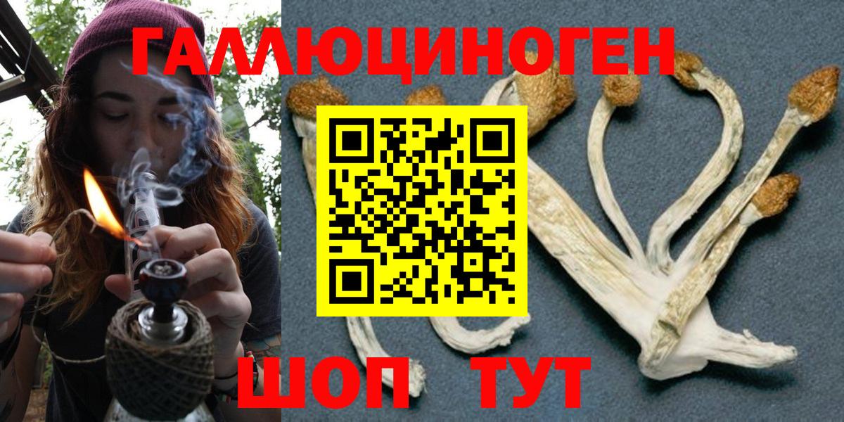 Богородицк  Псилоцибиновые грибы Psilocybe  Вход с VPN 